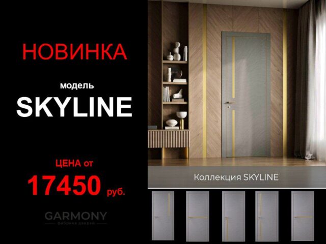 1609.25 новинка СКАЙЛАЙН